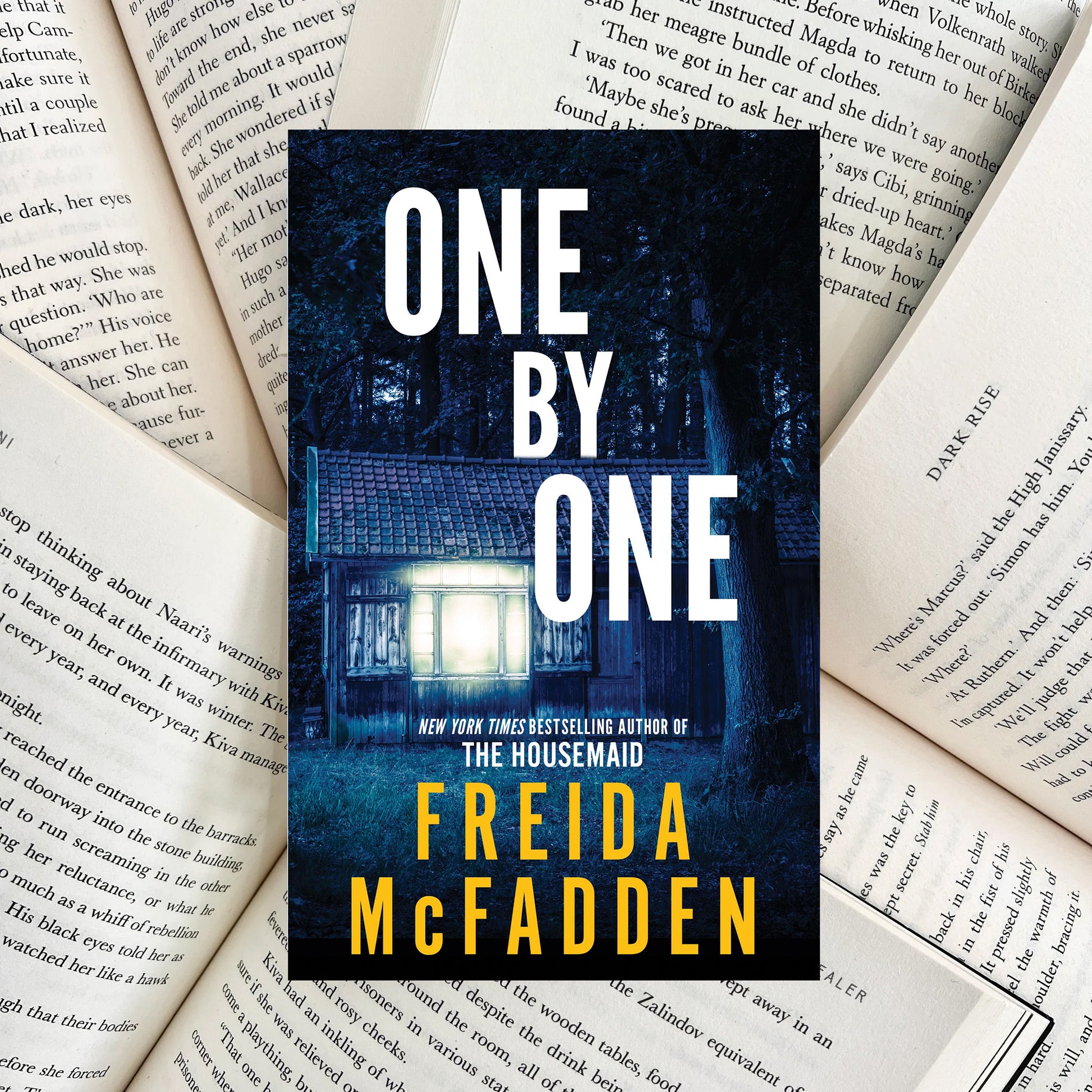 One By One By Freida McFadden (NEW) - The Albright Library
