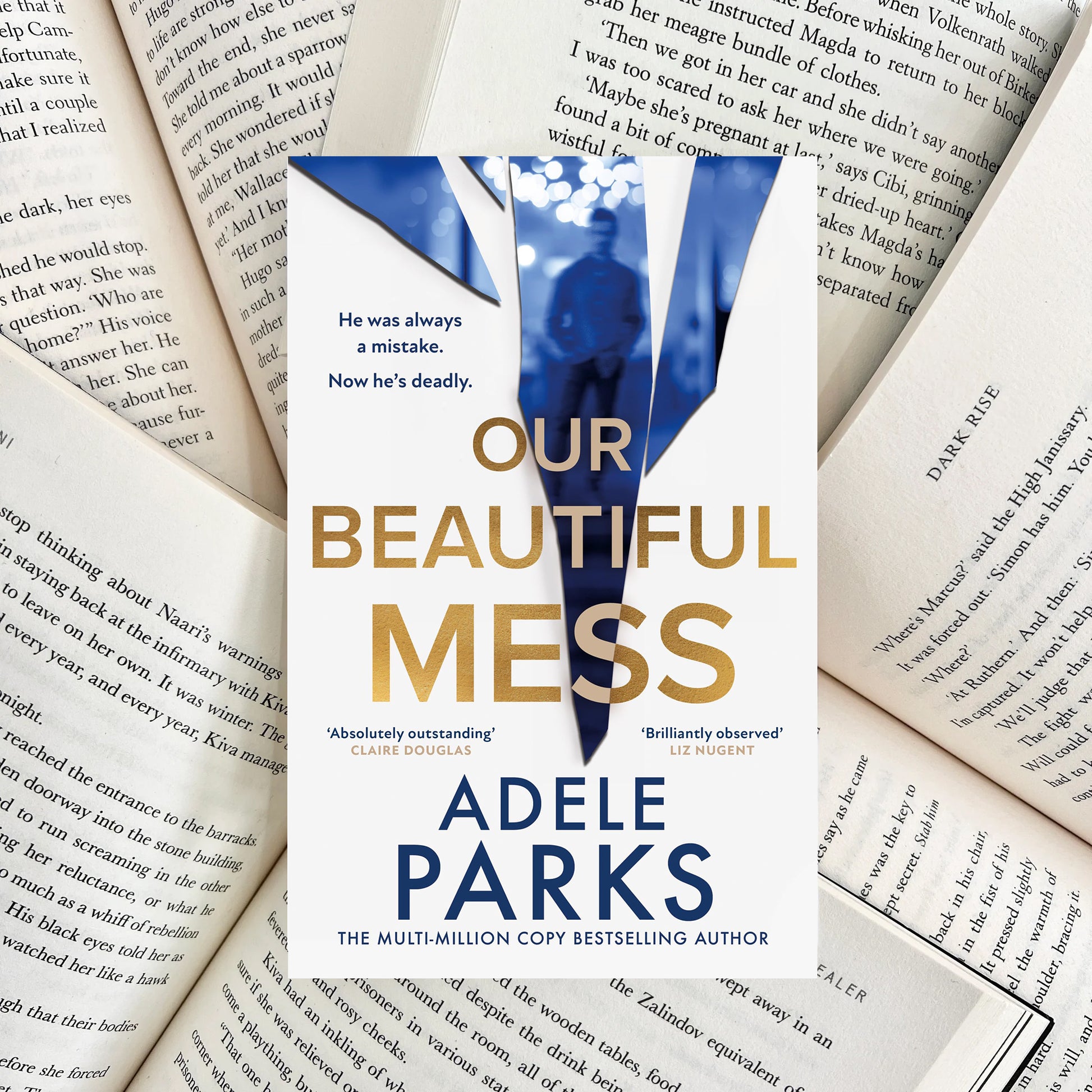 Our Beautiful Mess By Adele Parks (NEW) - The Albright Library