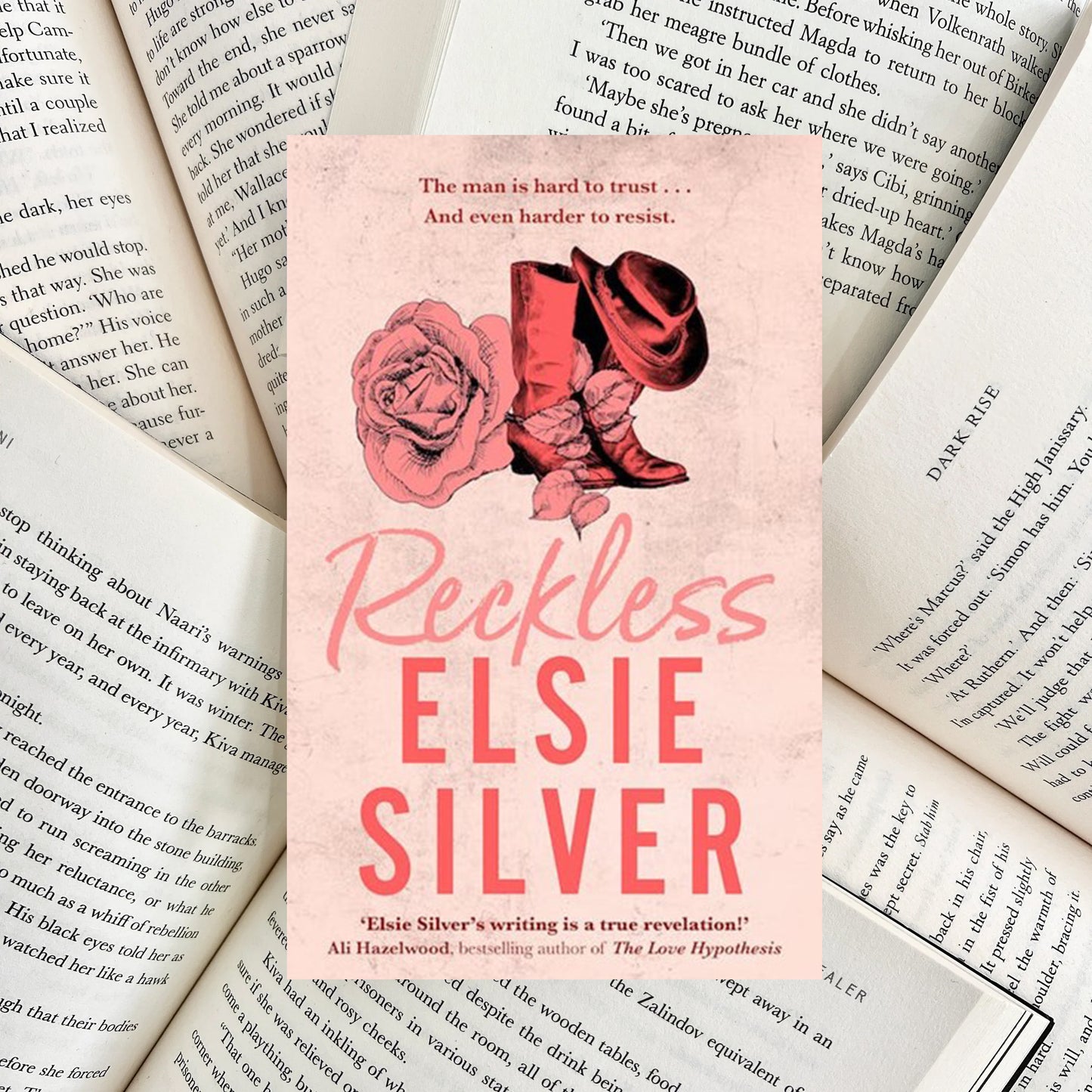 Reckless By Elsie Silver (NEW)