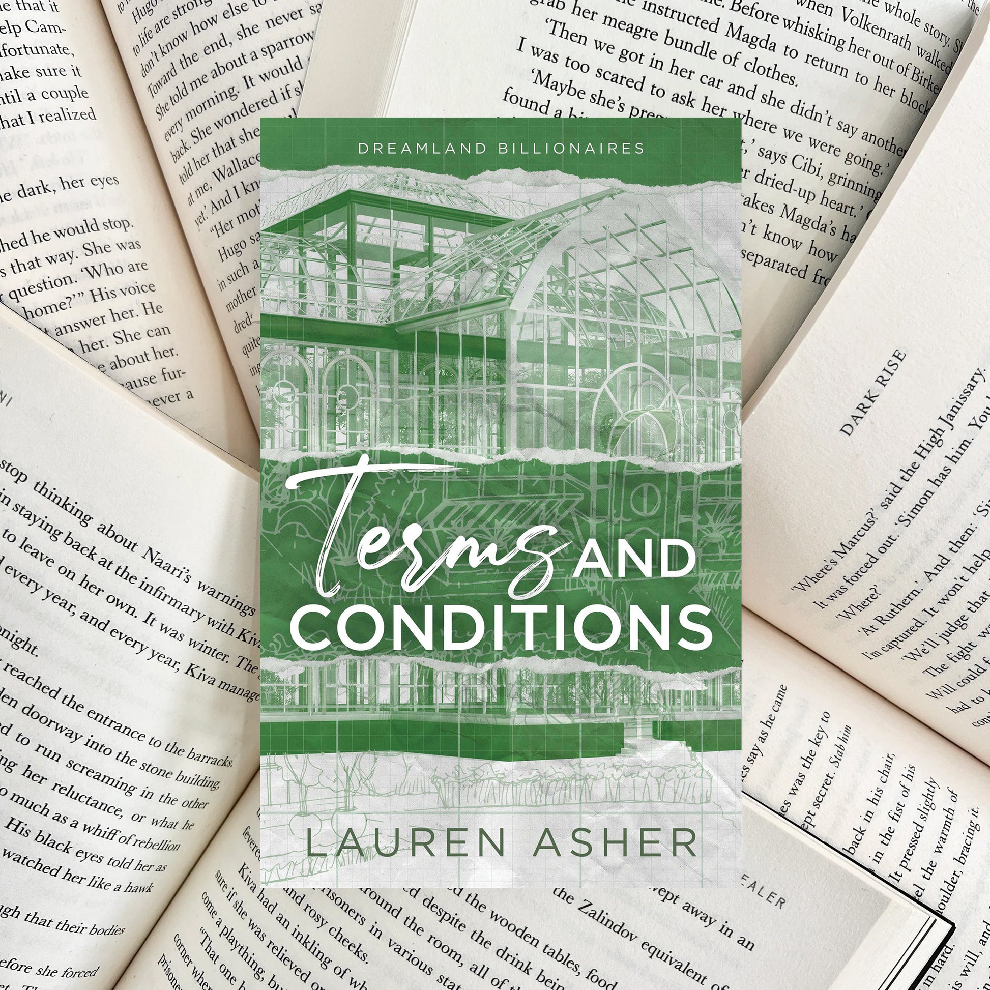 Terms and Conditions By Lauren Asher (SECOND-HAND) - The Albright Library