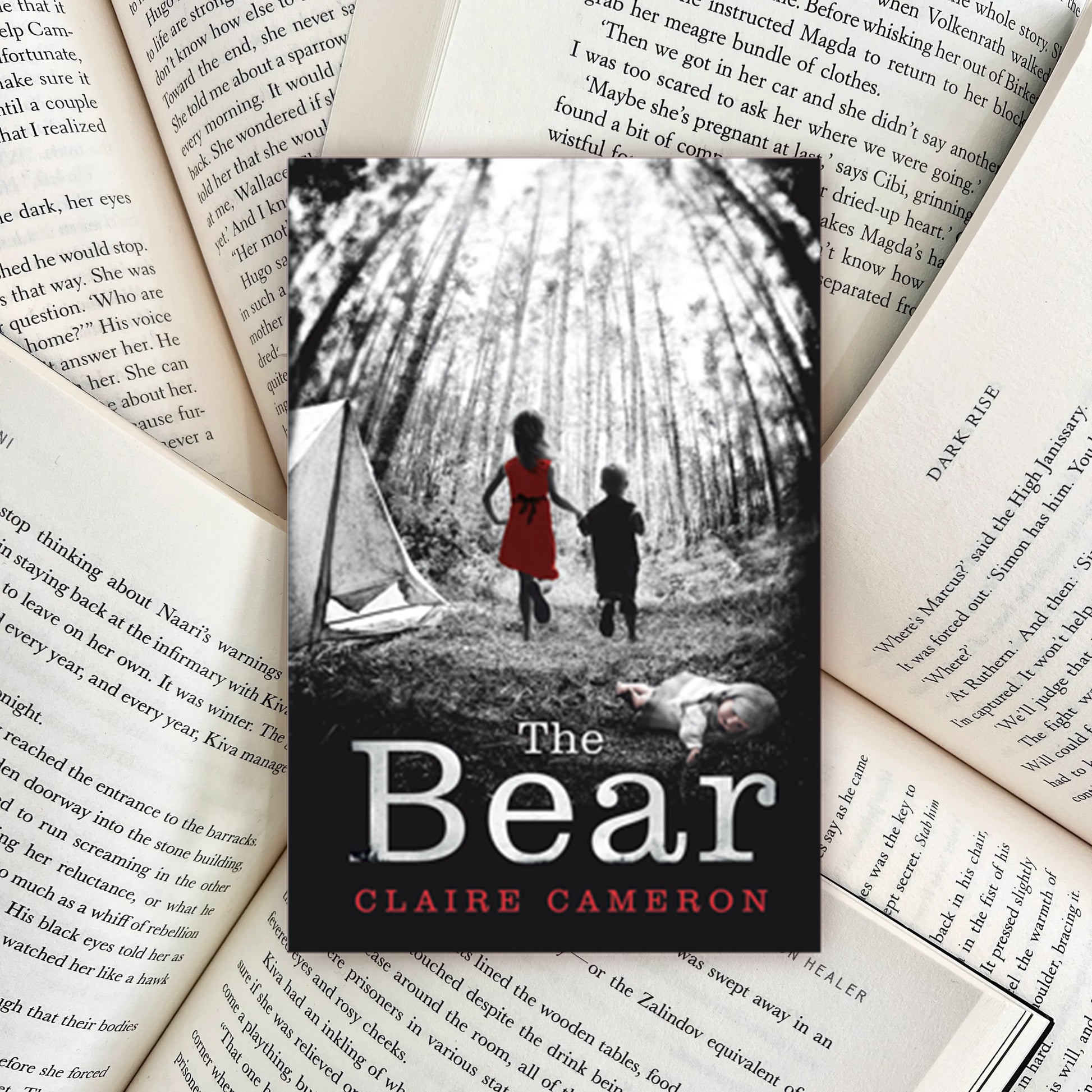 The Bear By Claire Cameron (SECOND-HAND) - The Albright Library
