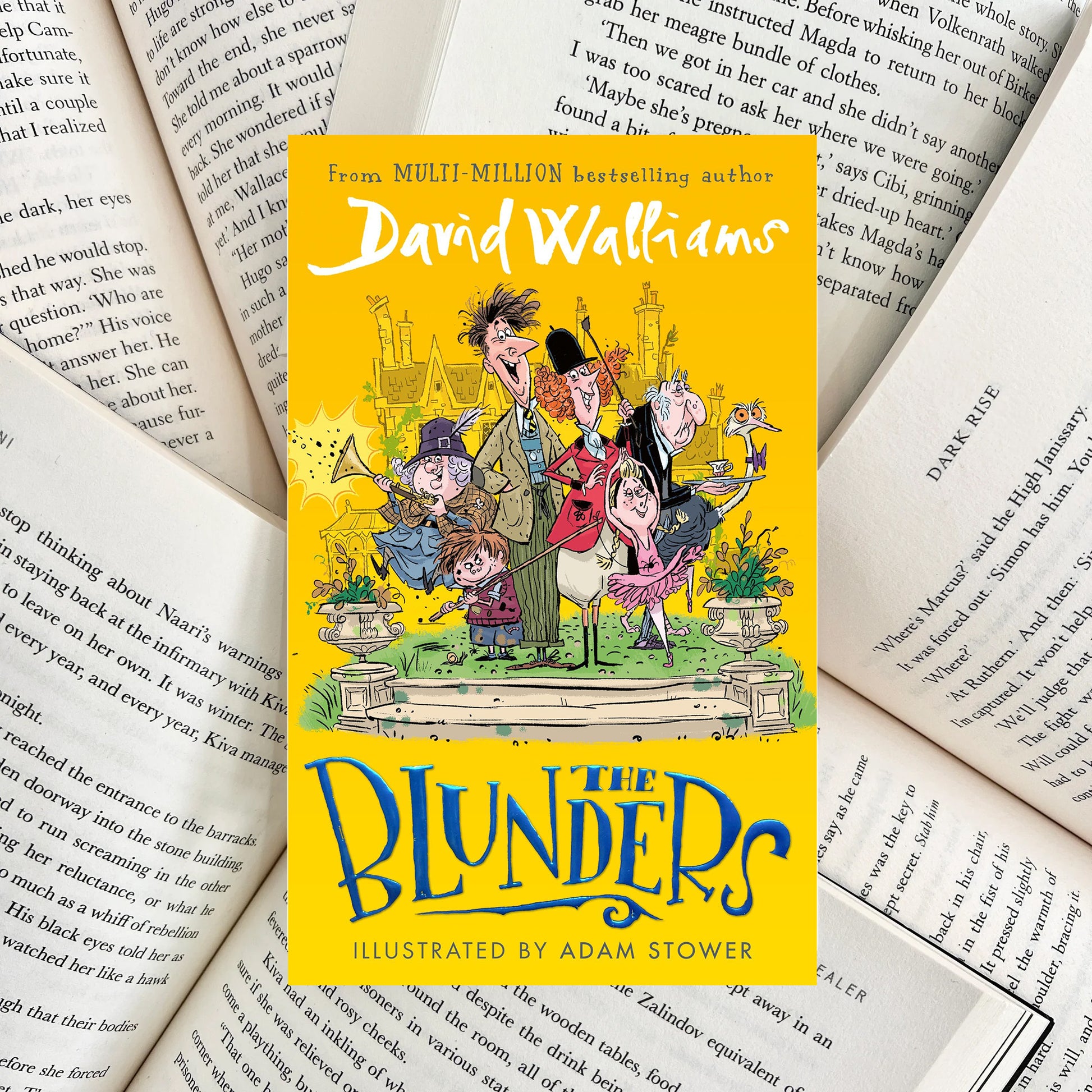 The Blunders By David Walliams (NEW) - The Albright Library