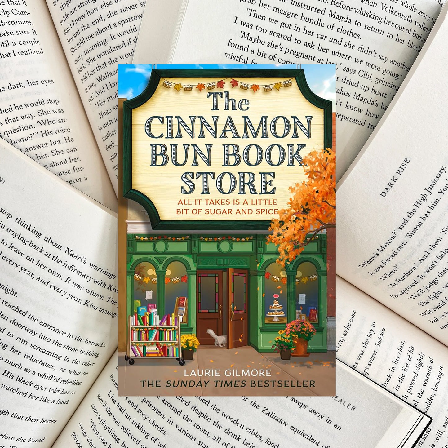 The Cinnamon Bun Book Store By Laurie Gilmore (SECOND-HAND)