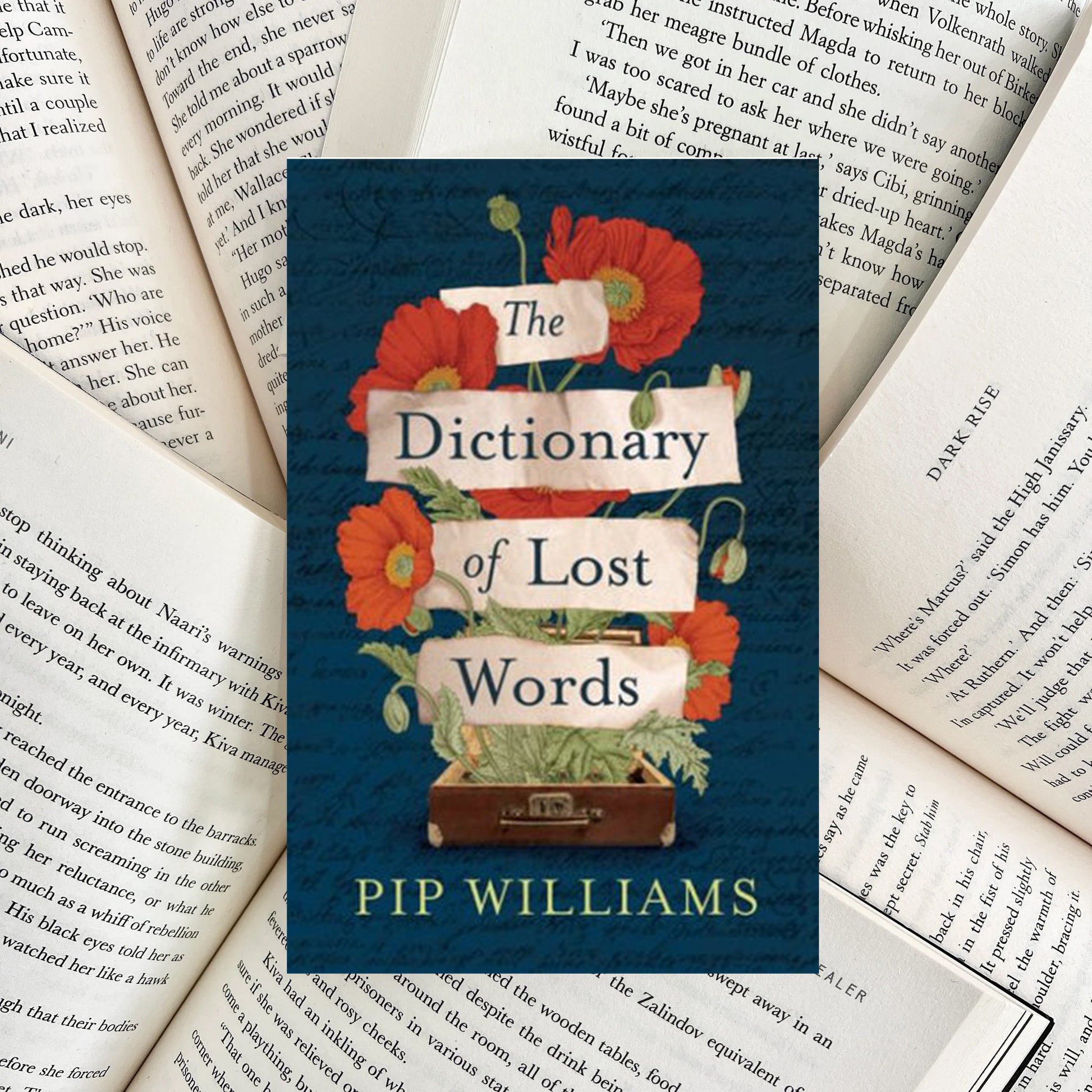 The Dictionary of Lost Words By Pip Williams (NEW) - The Albright Library