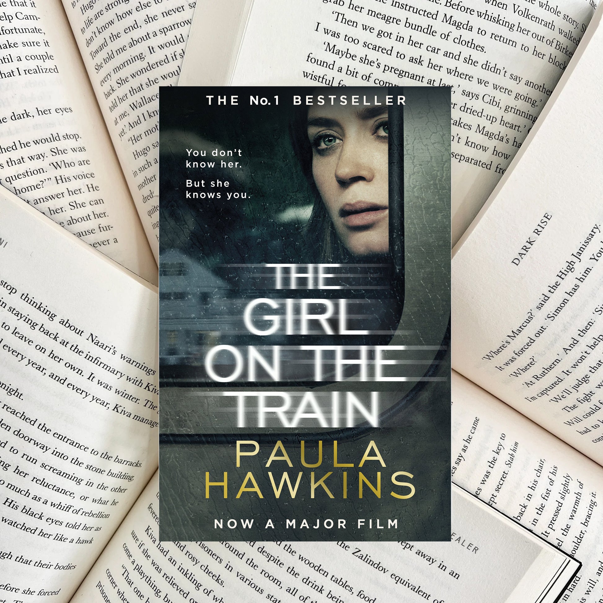 The Girl on the Train By Paula Hawkins (SECOND-HAND) - The Albright Library