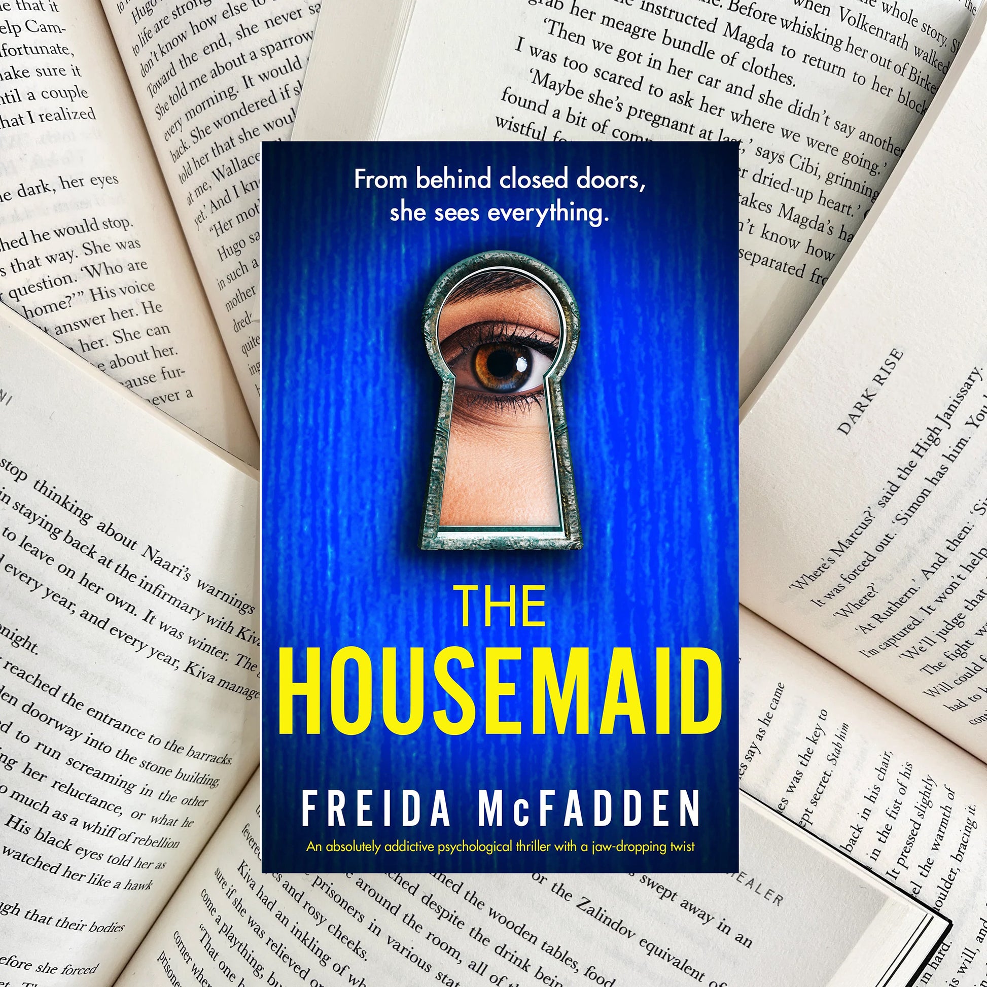 The Housemaid By Freida McFadden (NEW) - The Albright Library