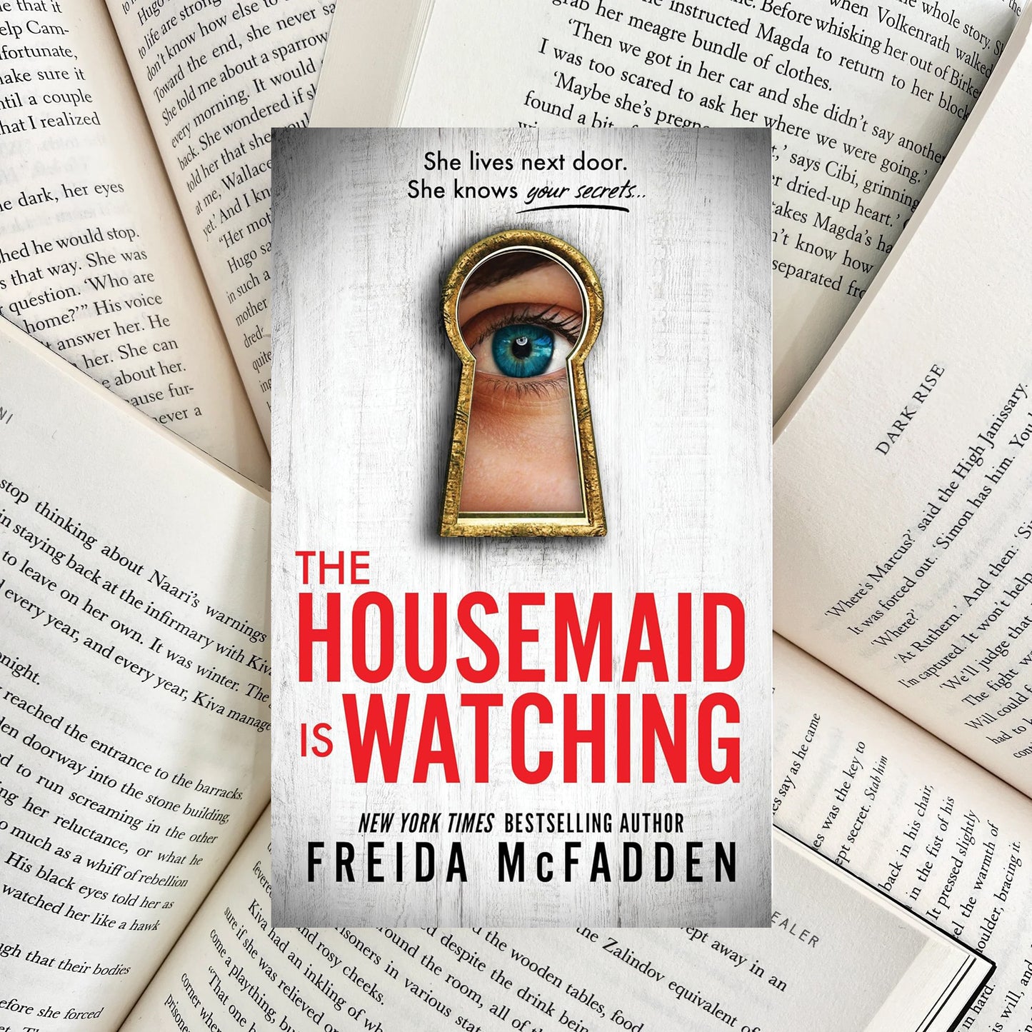 The Housemaid Is Watching By Freida McFadden (NEW) - The Albright Library