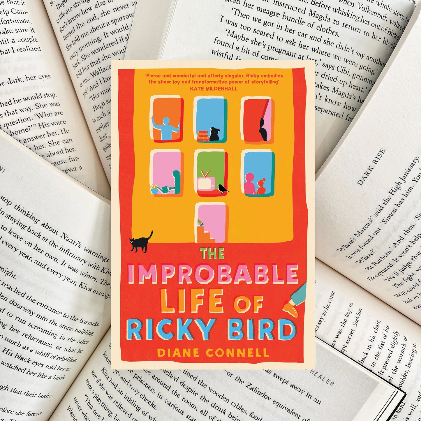 The Improbable Life of Ricky Bird By Diane Connell (NEW)