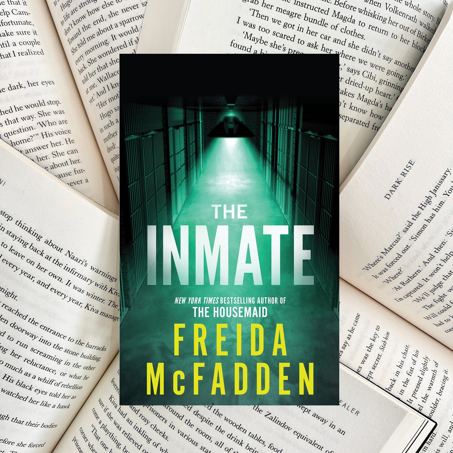 The Inmate By Freida McFadden (NEW) - The Albright Library