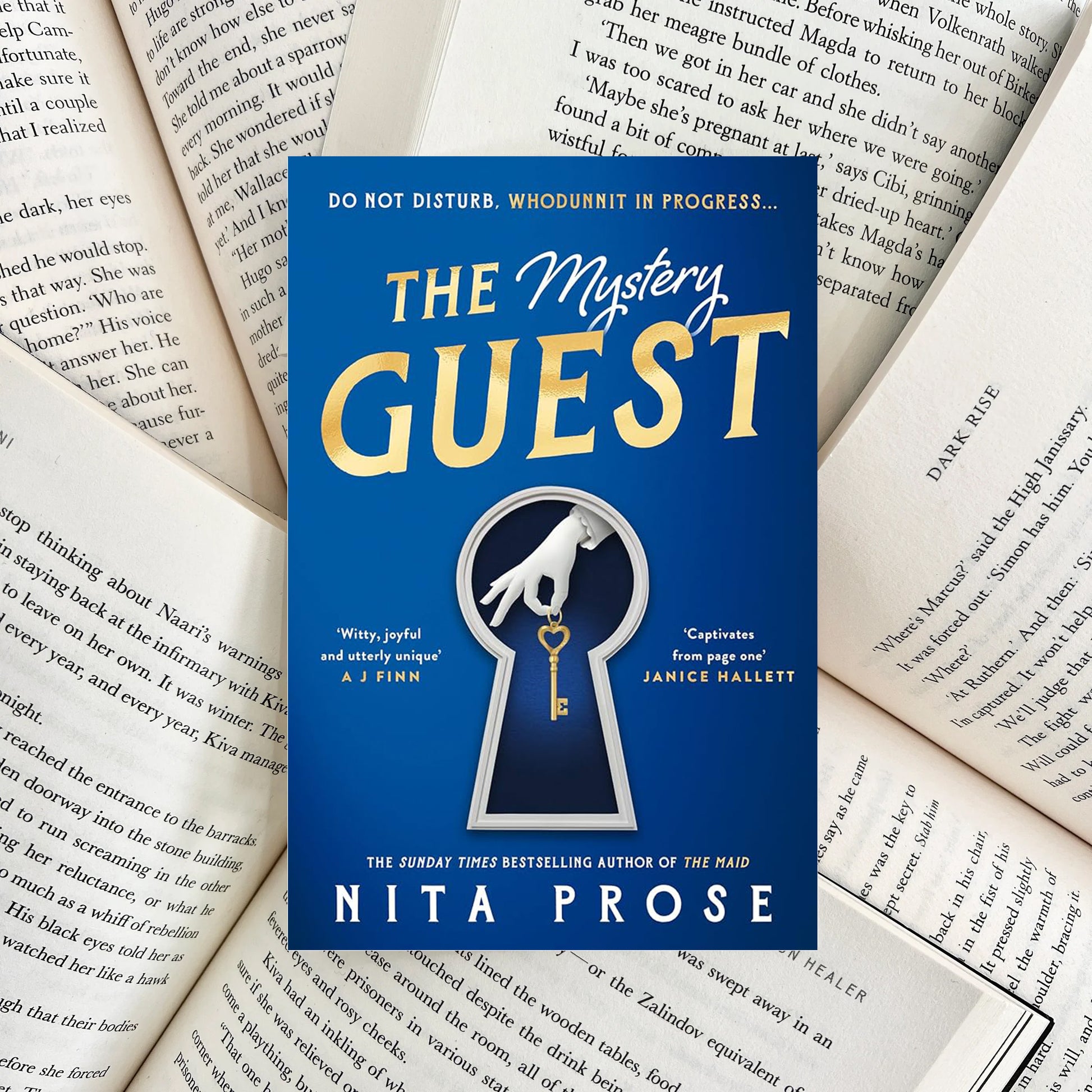 The Mystery Guest By Nita Prose (SECOND-HAND) - The Albright Library