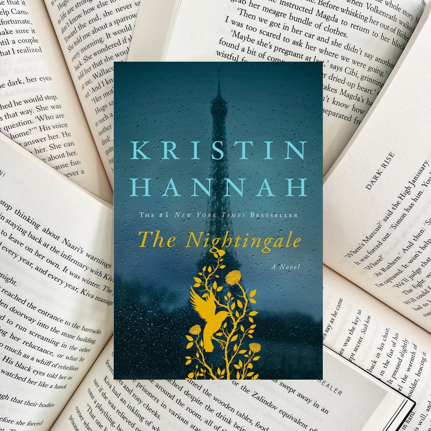 The Nightingale By Kristin Hannah (NEW) - The Albright Library