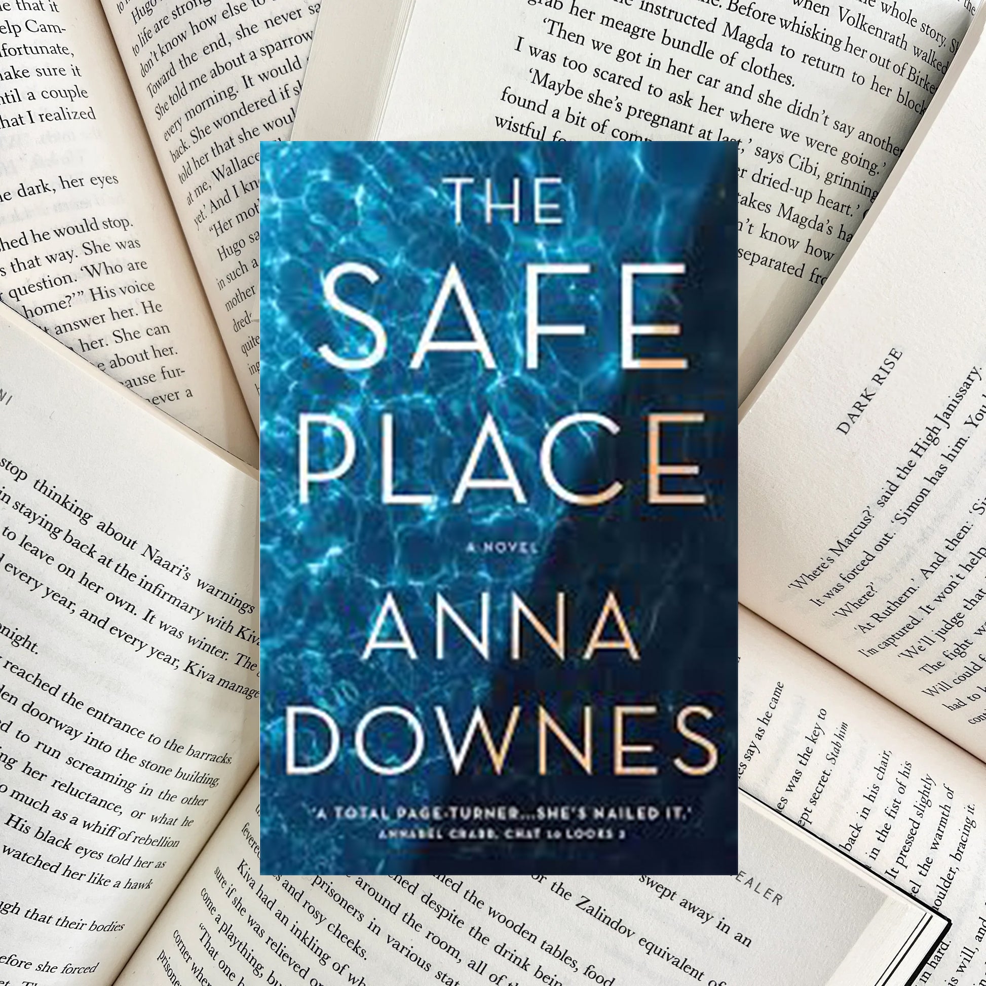 The Safe Place By Anna Downes (SECOND-HAND) - The Albright Library