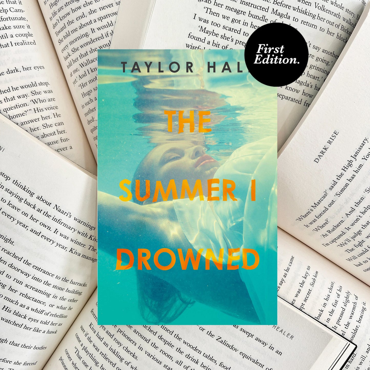The Summer I Drowned By Taylor Hale (SECOND-HAND) - The Albright Library