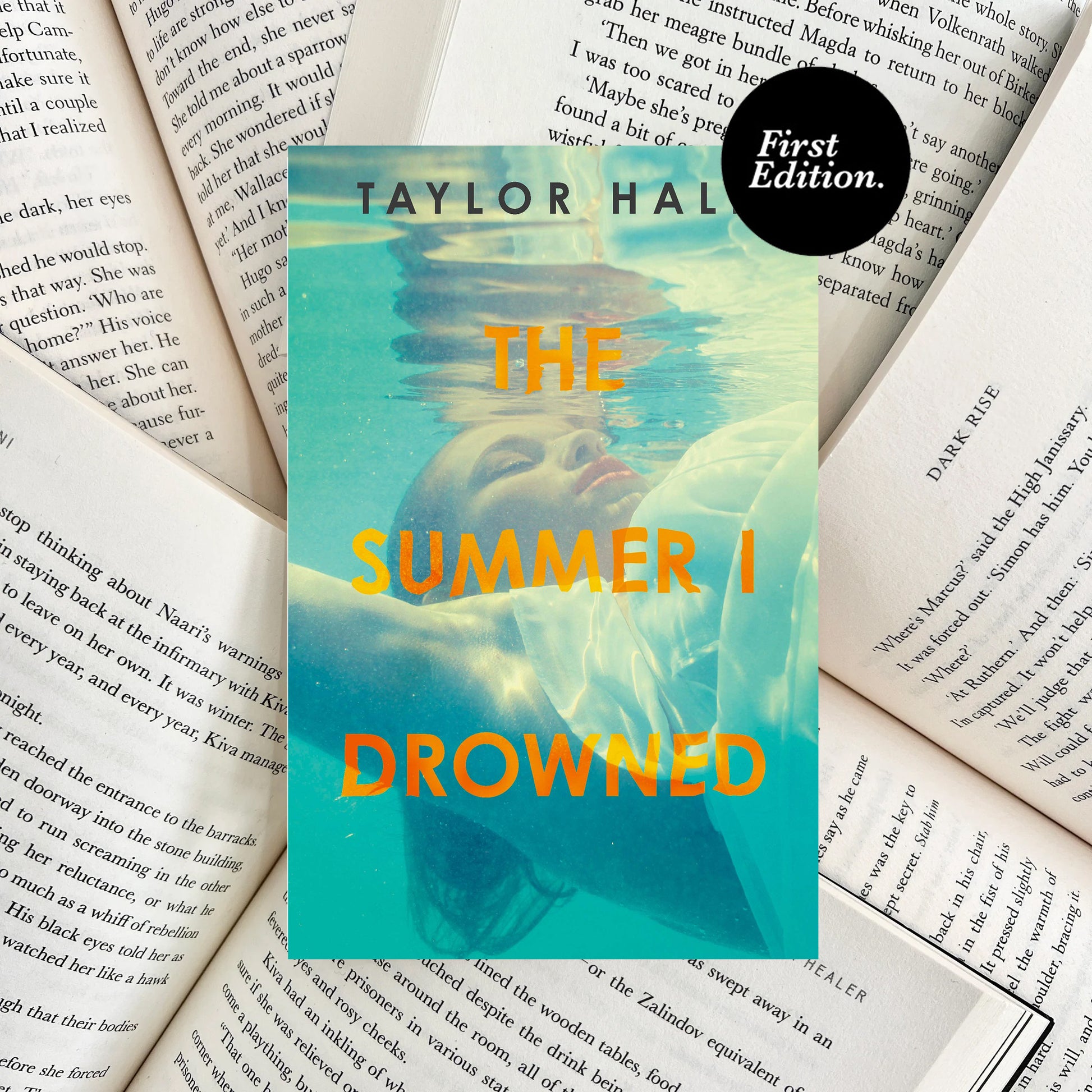 The Summer I Drowned By Taylor Hale (SECOND-HAND) - The Albright Library