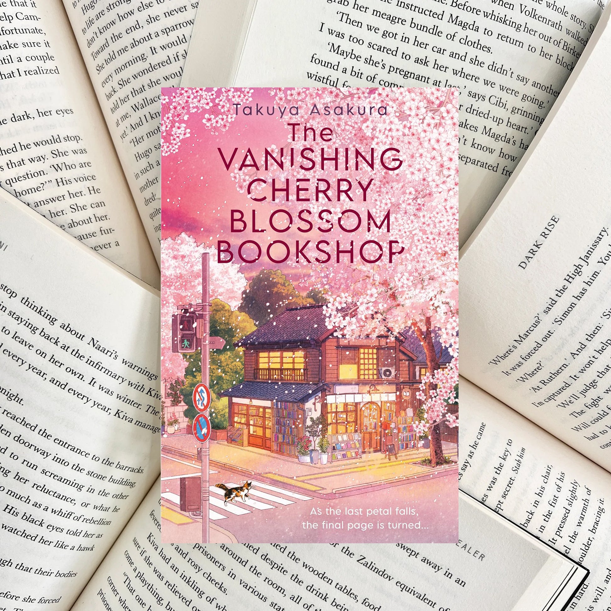 The Vanishing Cherry Blossom Bookshop By Takuya Asakura (NEW) - The Albright Library