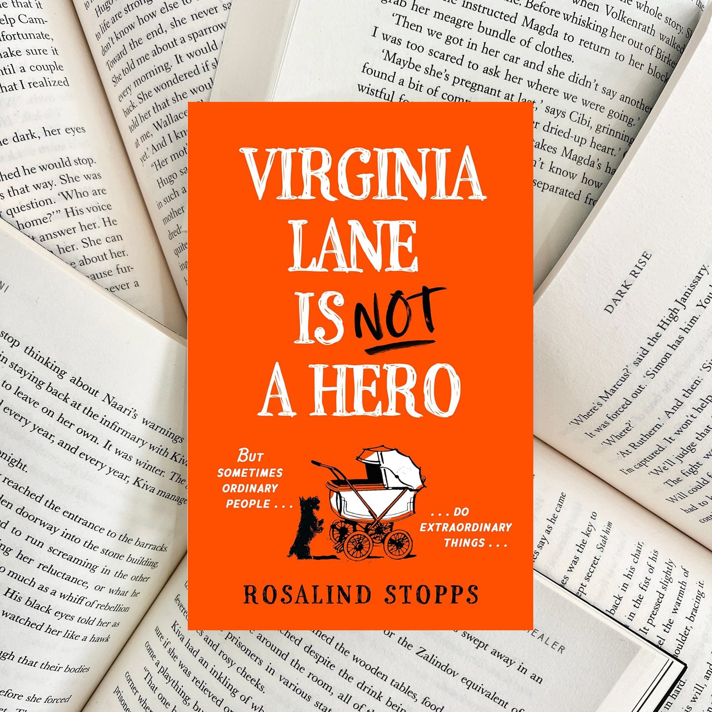 Virginia Lane Is Not a Hero By Rosalind Stopps (NEW) - The Albright Library