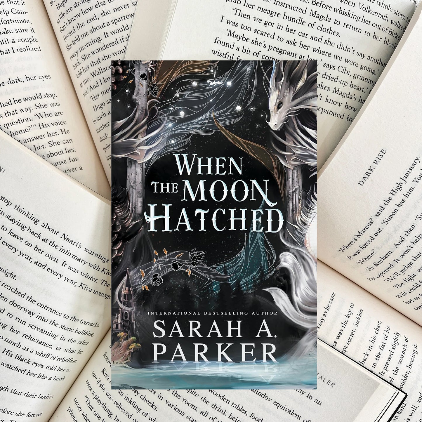 When the Moon Hatched By Sarah A. Parker (SECOND-HAND) - The Albright Library